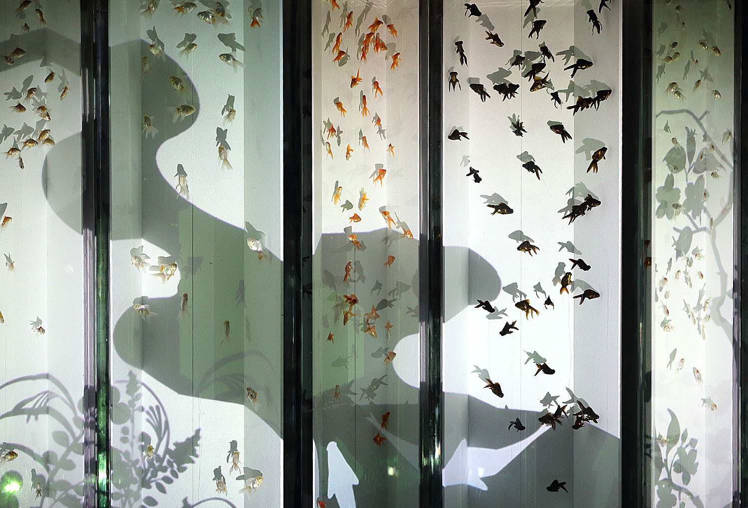 �A�N�A���E���W20�i�ŏI��j