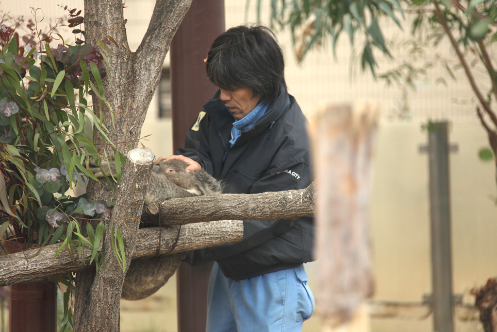 ���V����������4