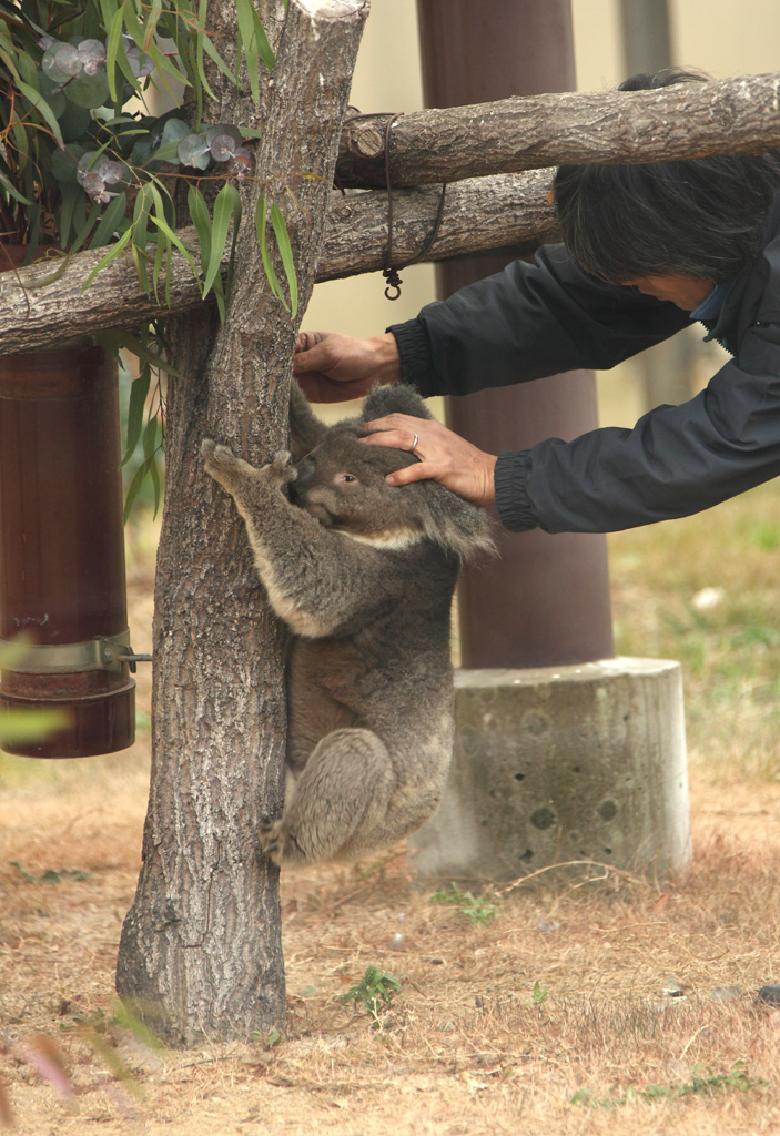 ���V����������5