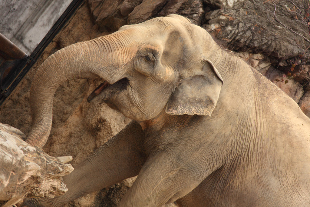 ���V����������6