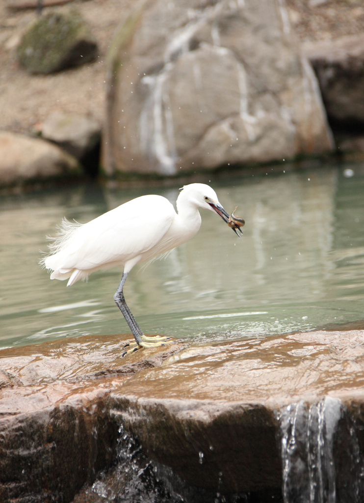 ���V����������7