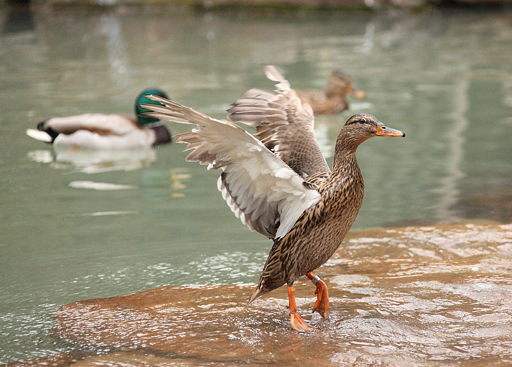 ���V����������8