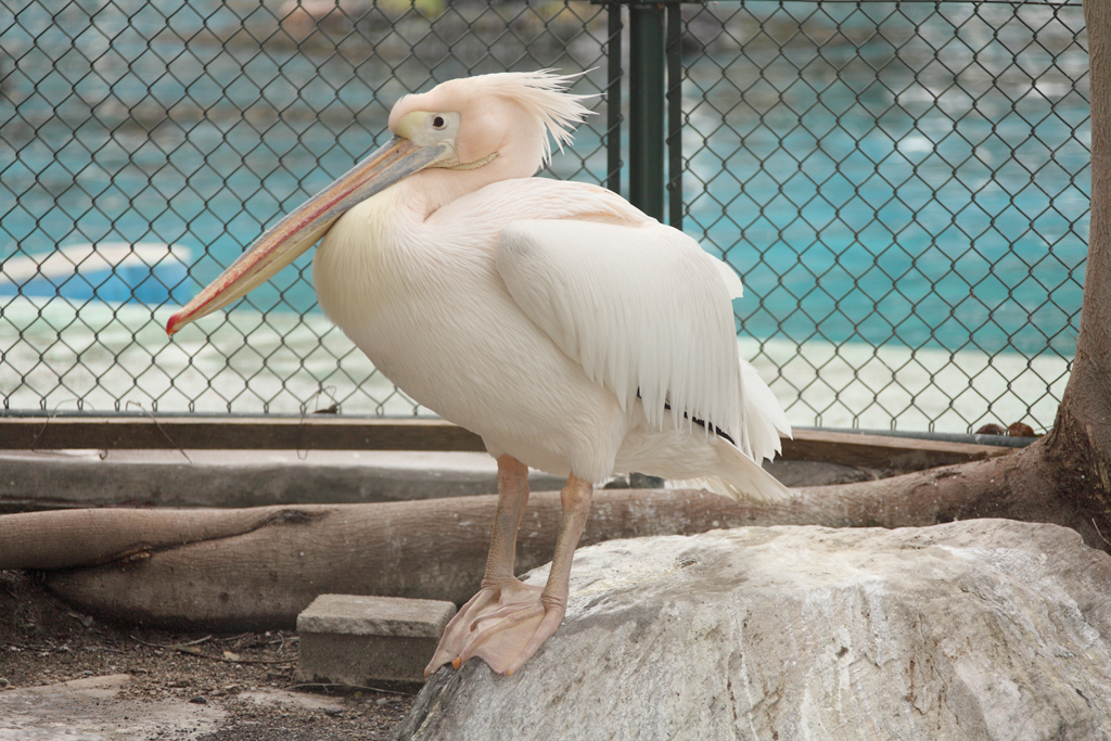 ���V����������9