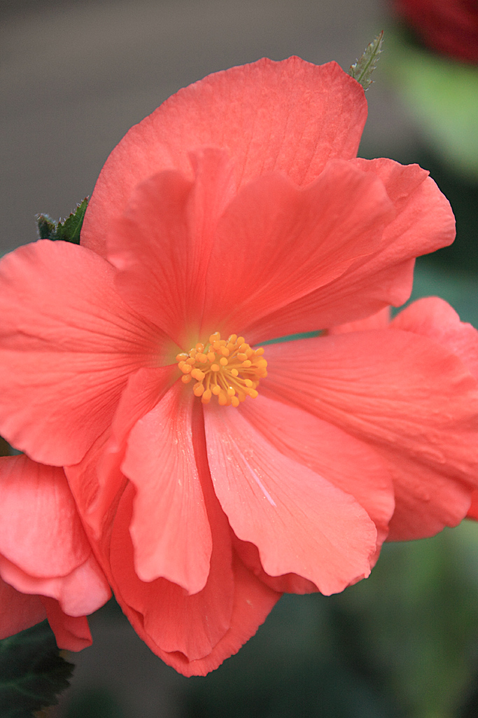 ���V����������10