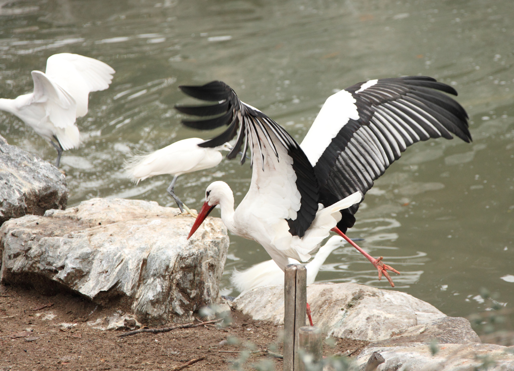 ���V����������11