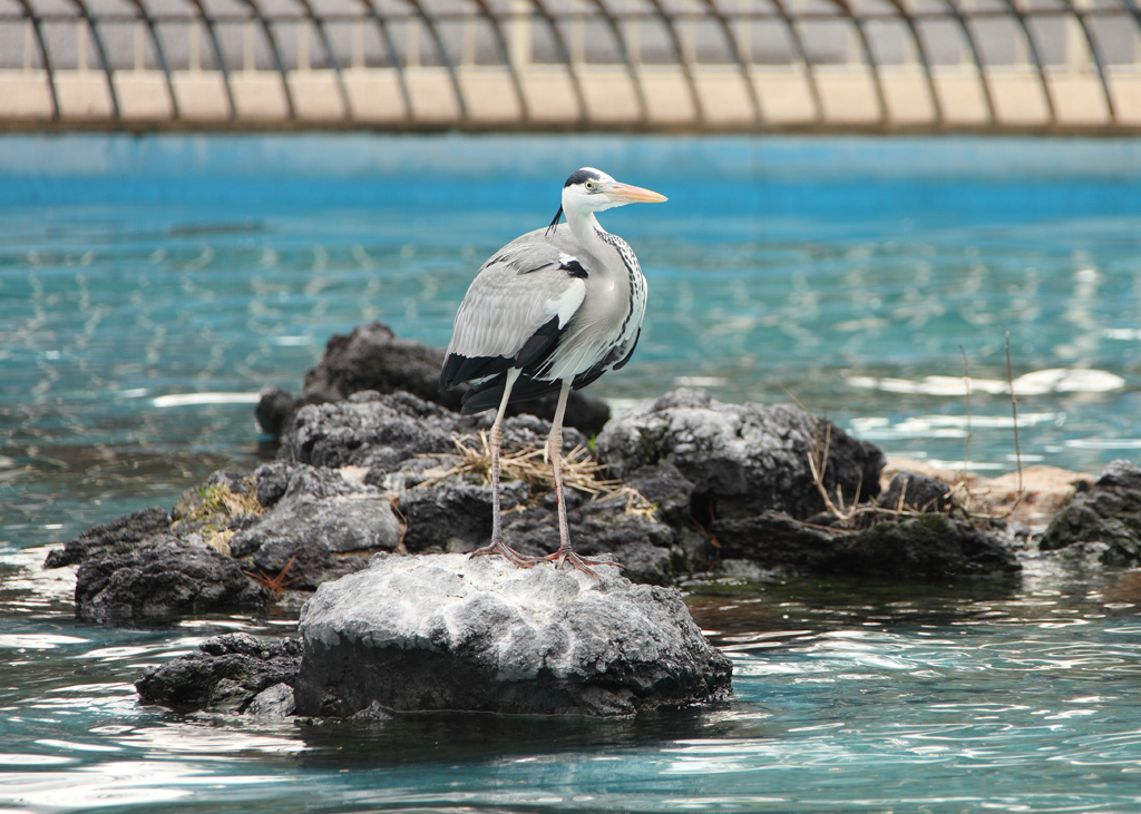 ���V����������13