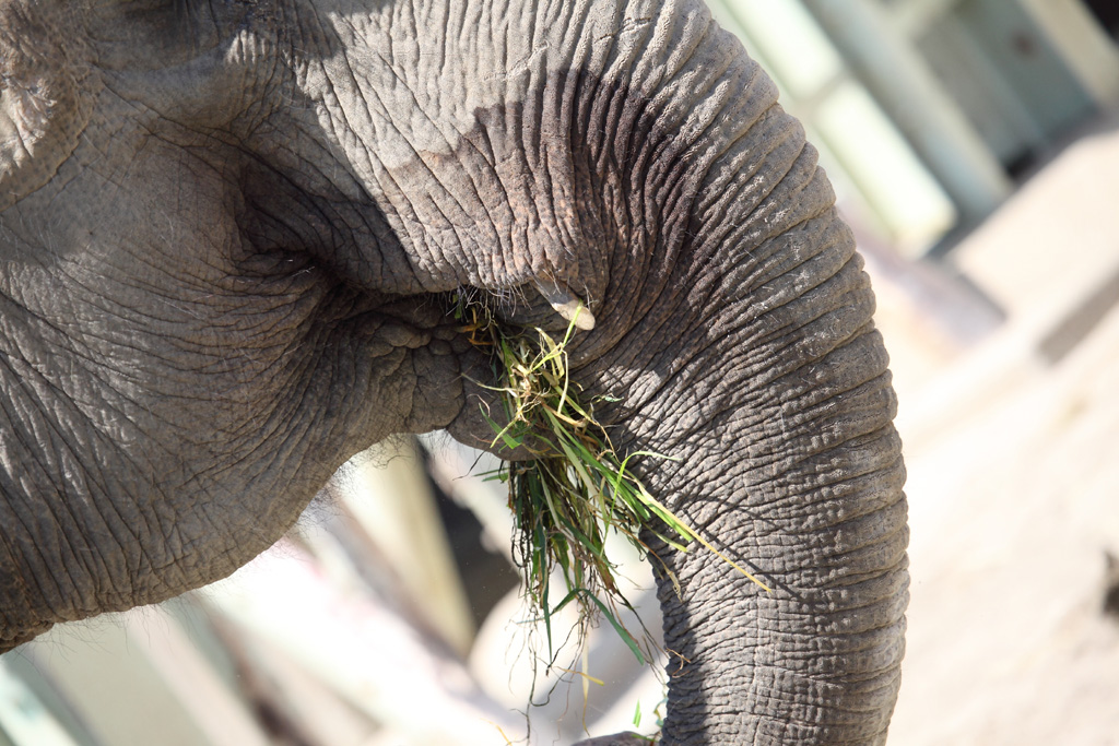 ���R���A�����uer2 1