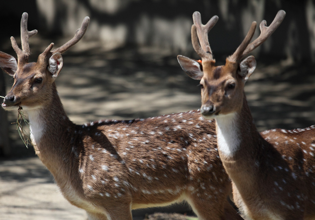 ���R���A�����uer2�@3