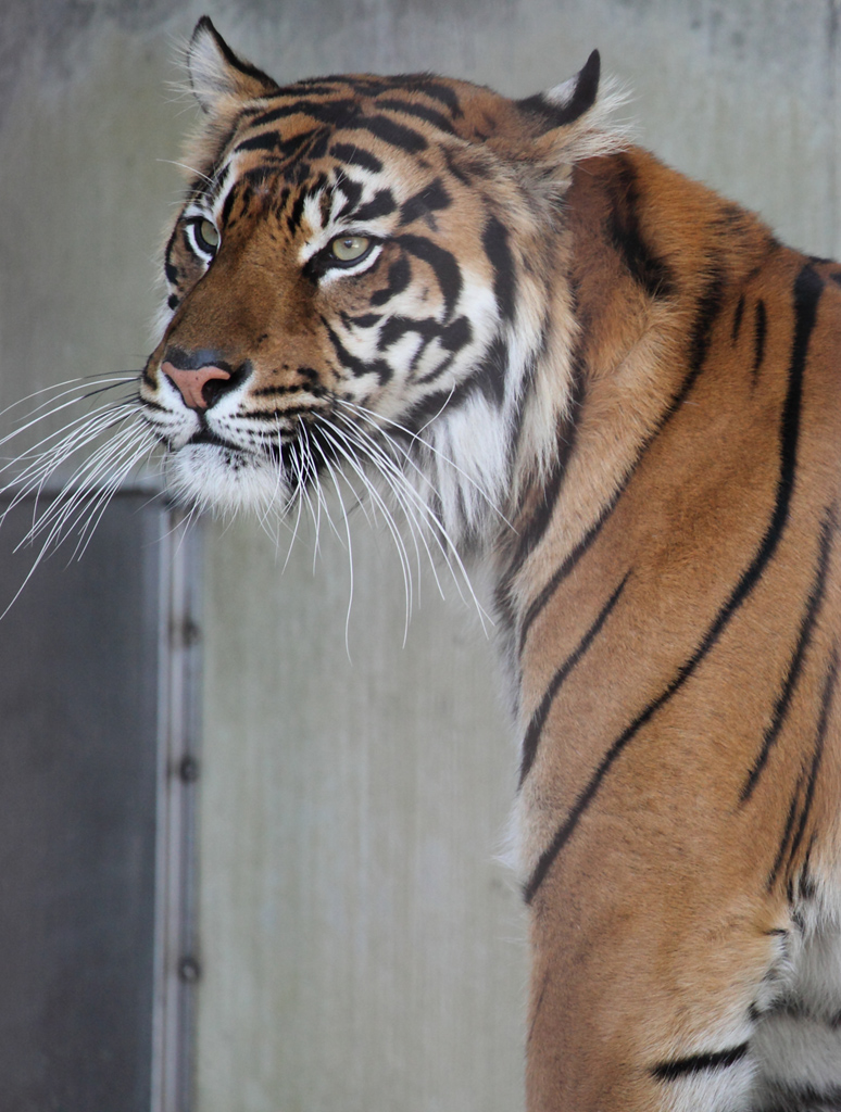 ���R���A�����uer2�@4