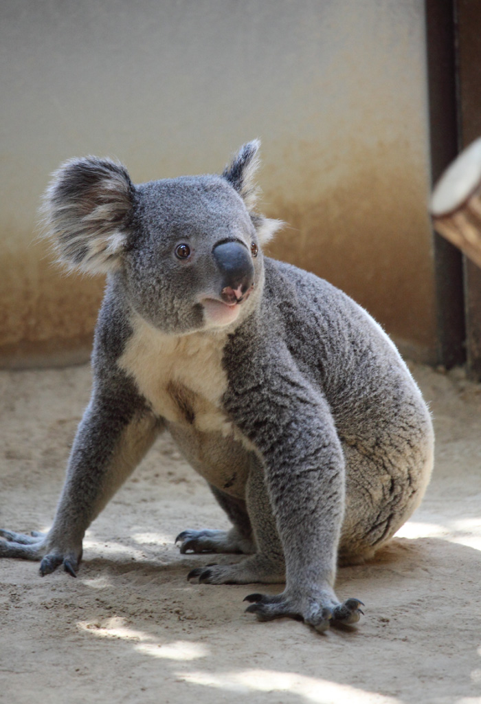 ���R���A�����uer2�@6