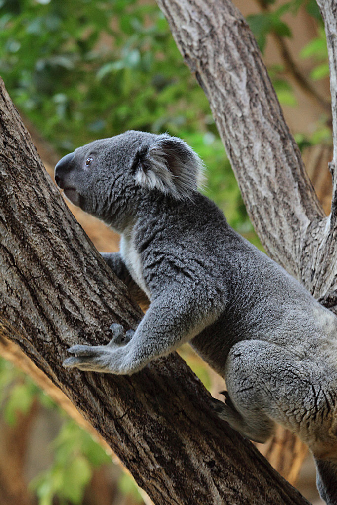 ���R���A�����uer2�@7