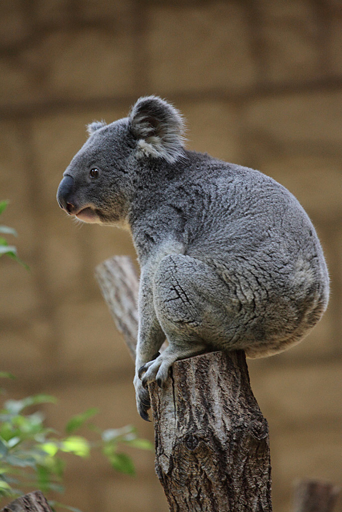 ���R���A�����uer2�@8