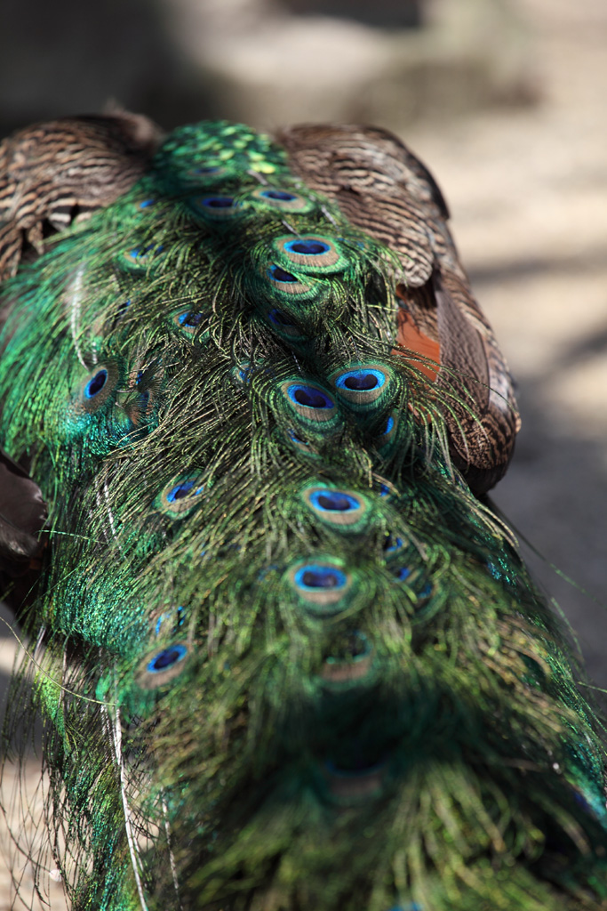 ���R���A�����uer2�@9