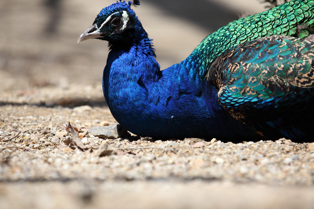 ���R���A�����uer2�@10