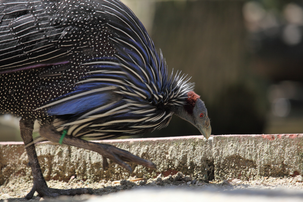 ���R���A�����uer2�@11