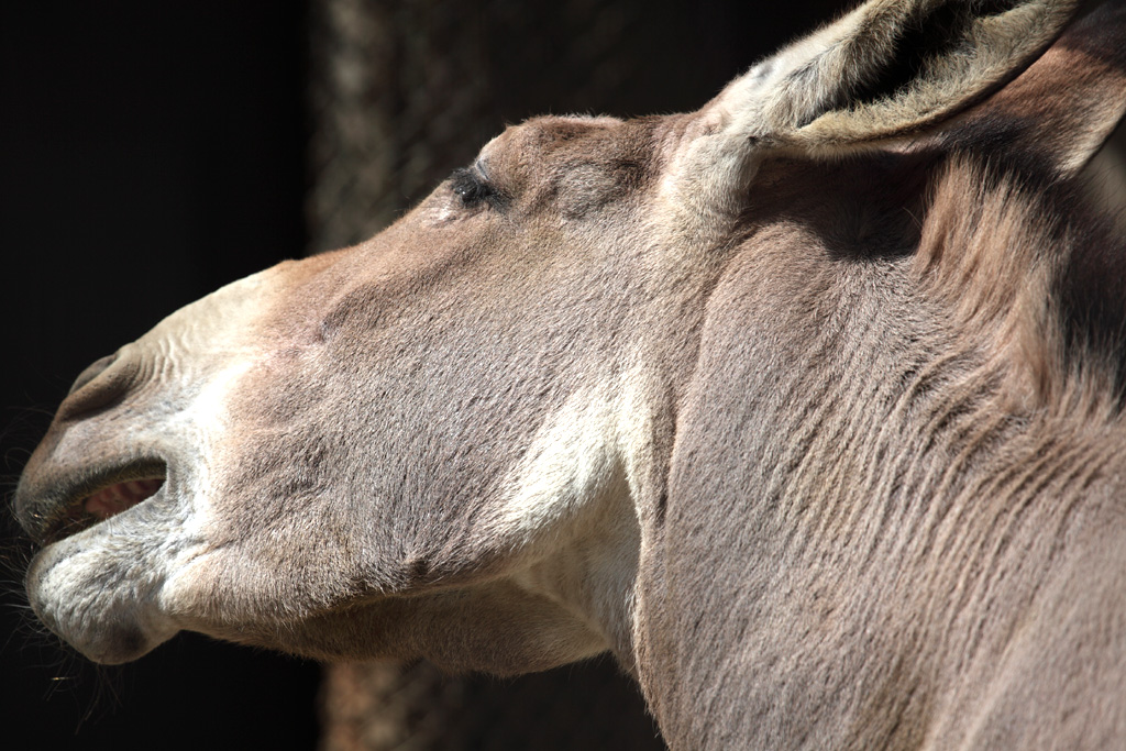 ���R���A�����uer2�@13