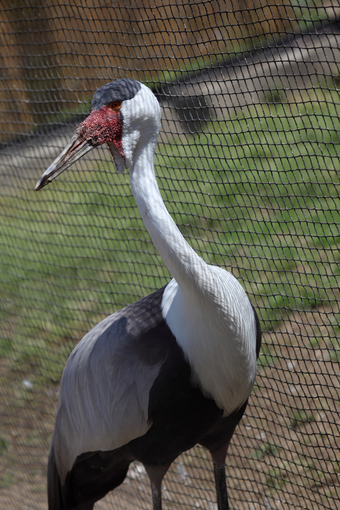 ���R���A�����uer2�@14