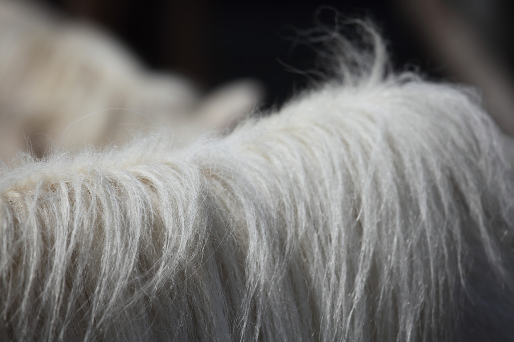 ���R���A�����uer2�@15