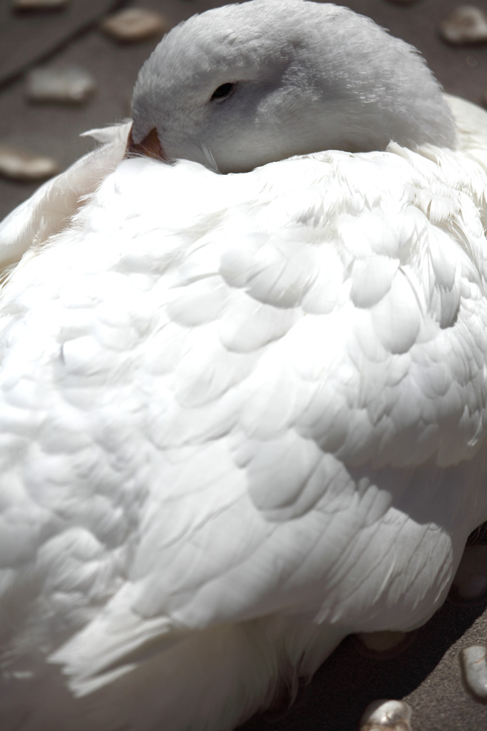 ���R���A�����uer2�@16