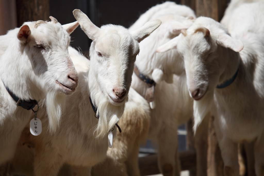 ���R���A�����uer2�@18