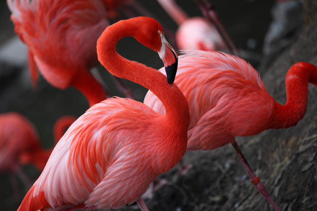 ���R���A�����uer2�@20