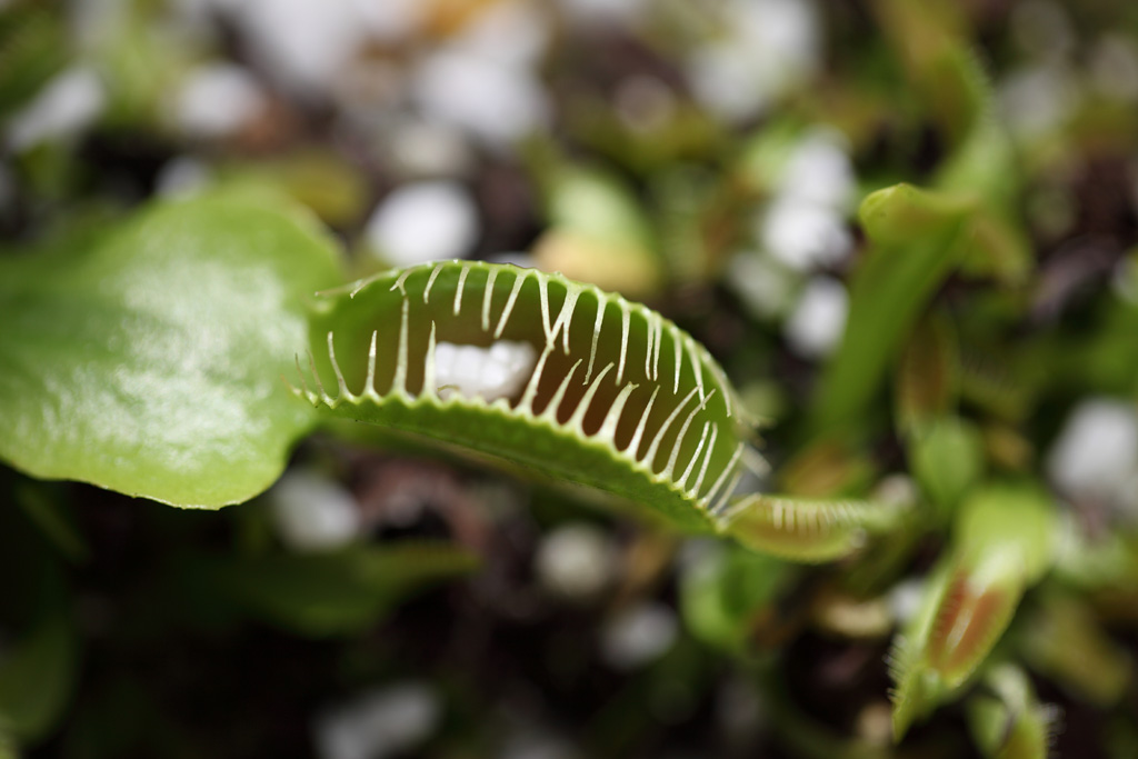 ���R���A�����uer2�@21