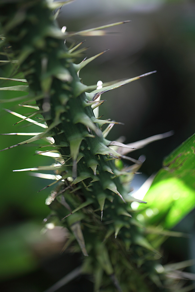 ���R���A�����uer2�@22