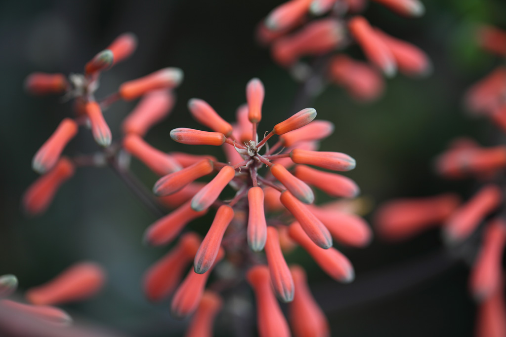 ���R���A�����uer2�@23