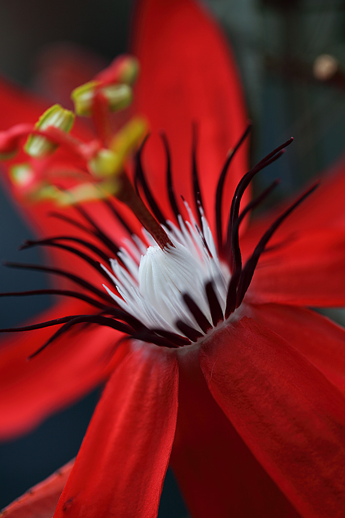 ���R���A�����uer2�@24