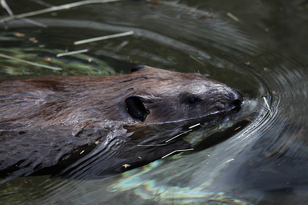 ���R���A�����uer2�@26