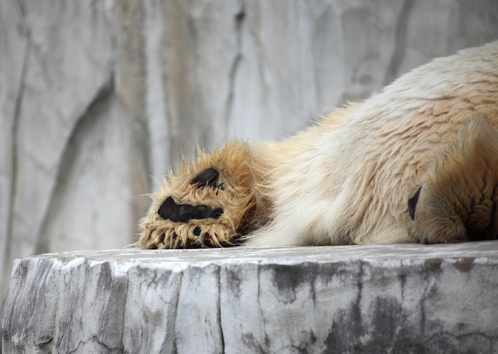 ���R���A�����uer2�@28