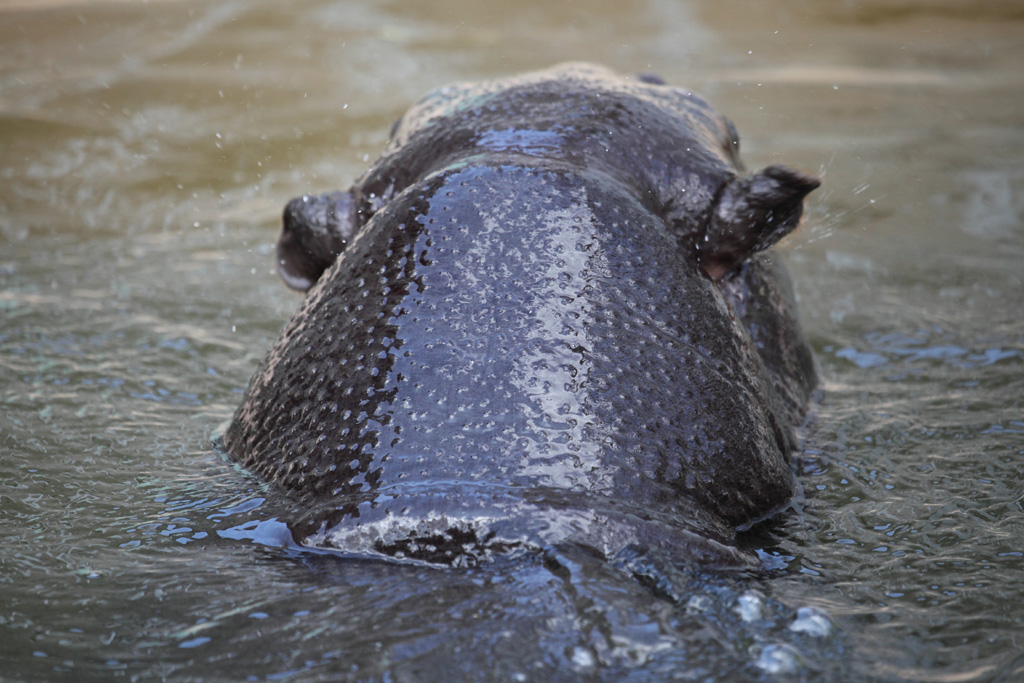 ���R���A�����uer2�@31