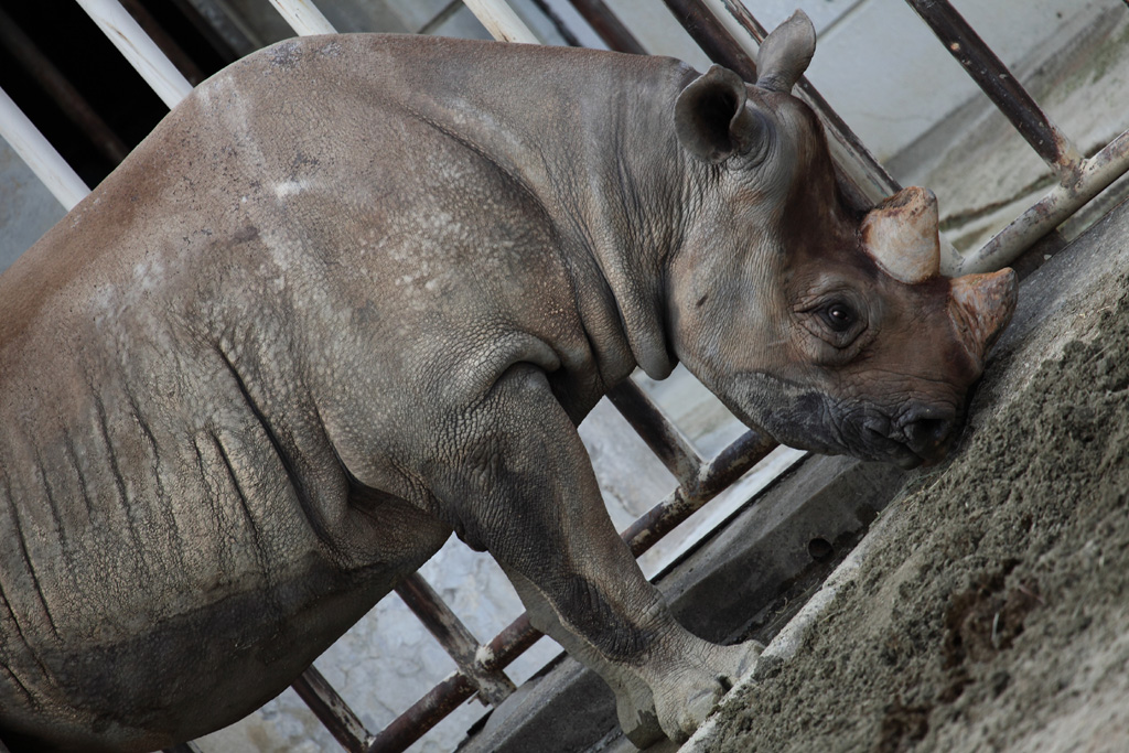 ���R���A�����uer2�@32