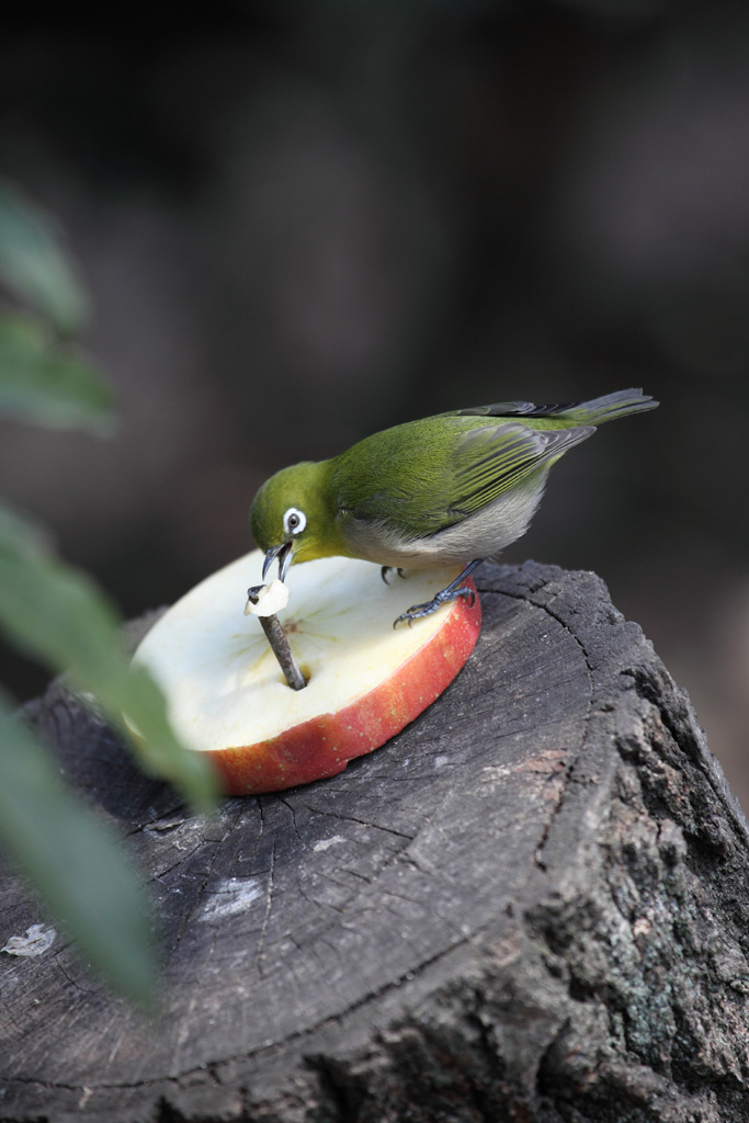 ���R���A�����uer2�@35