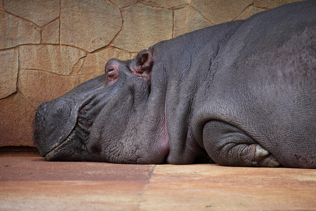 ���R���A�����uer2�@36