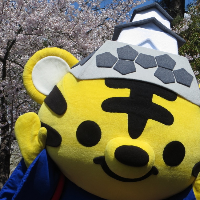 ���ɉ�[����