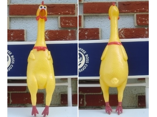 �r�b�O�T�C�Y�I�I�@shrilling chicken�@�V���E�e�B���O�`�L��