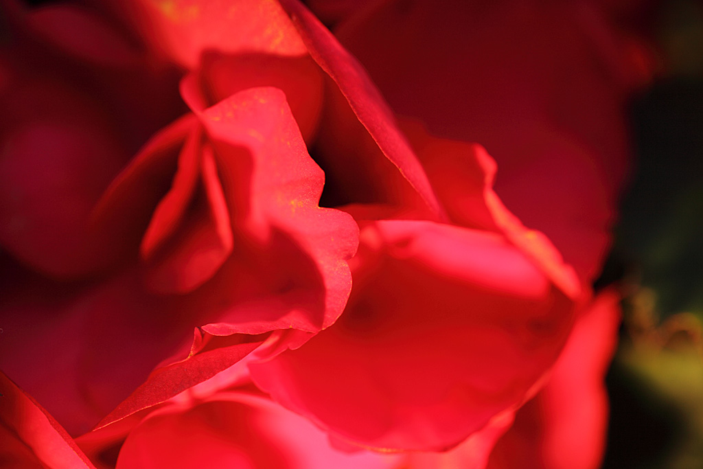 �����̊�Ver2-10