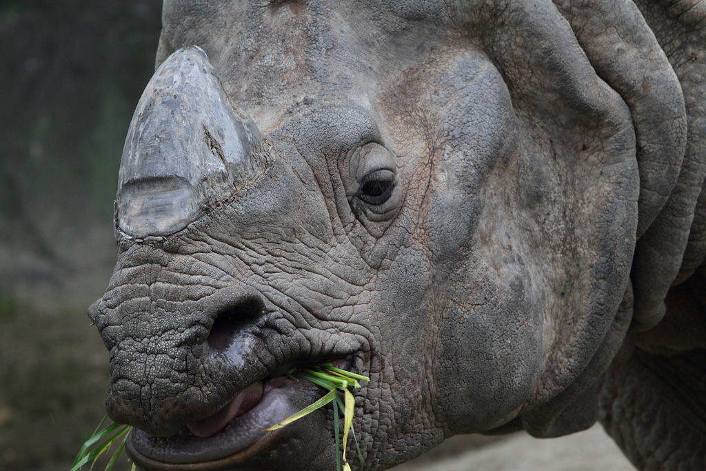 ���R���A����Ver3�@1