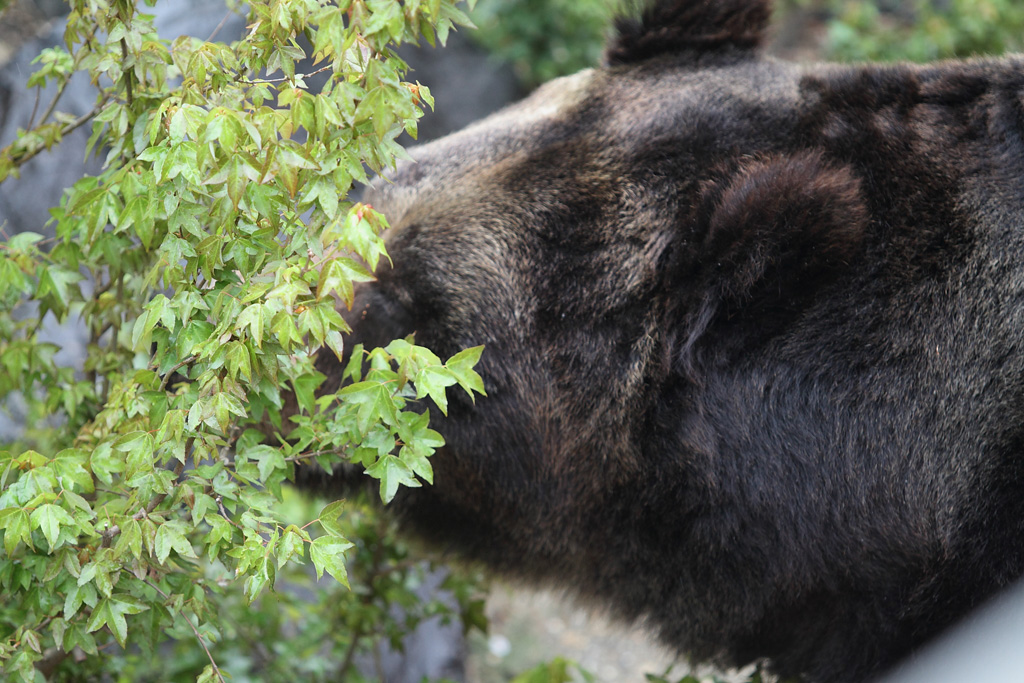 ���R���A����Ver3�@5