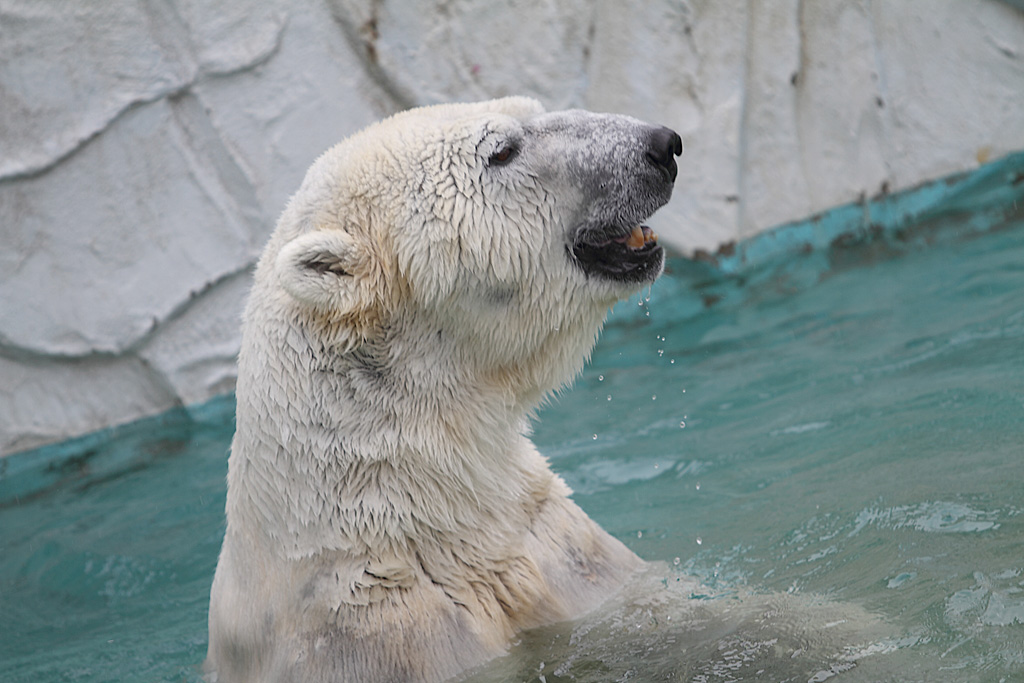 ���R���A����Ver3�@6