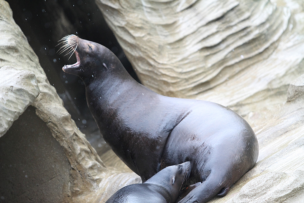 ���R���A����Ver3�@7