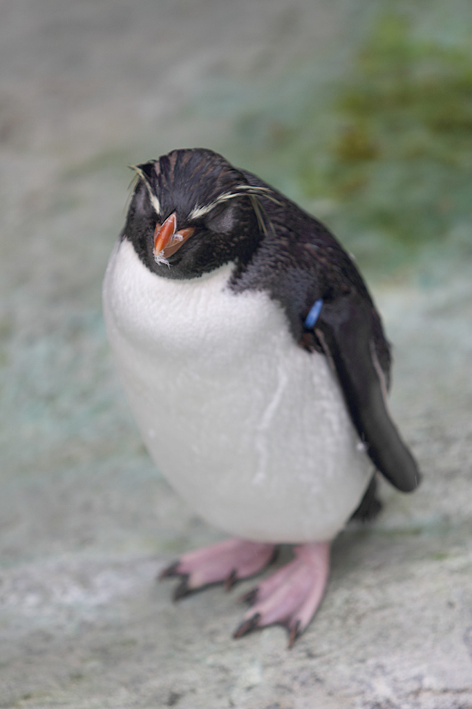 ���R���A����Ver3�@8