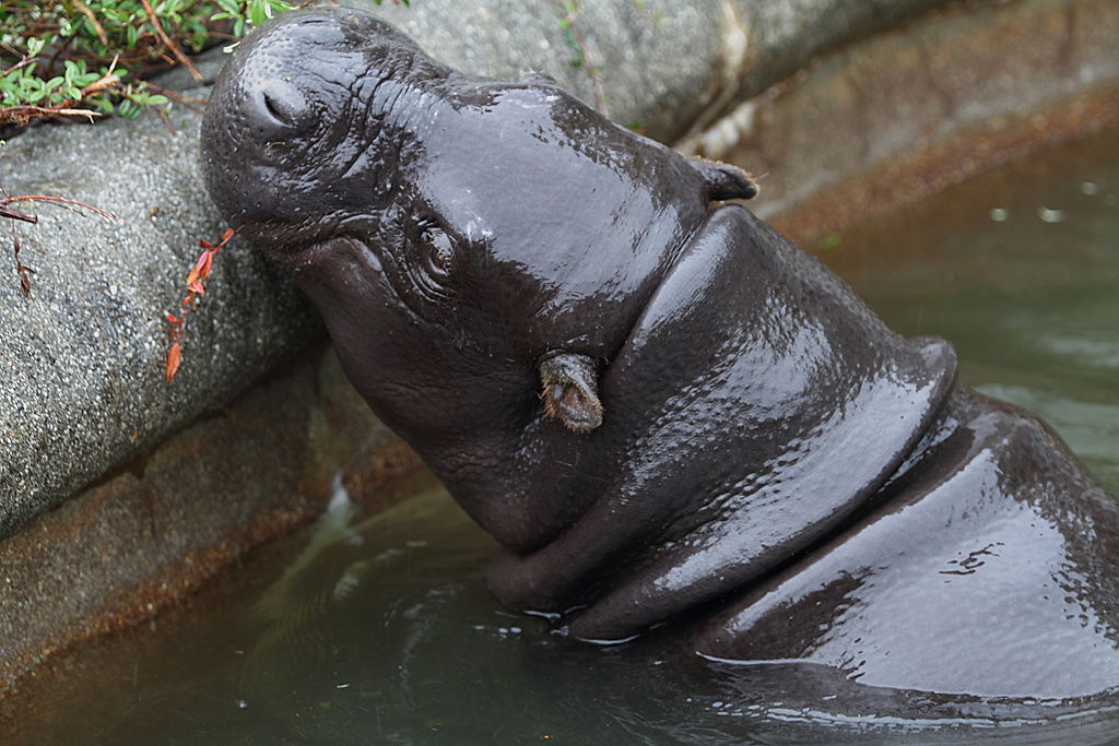 ���R���A����Ver3�@9