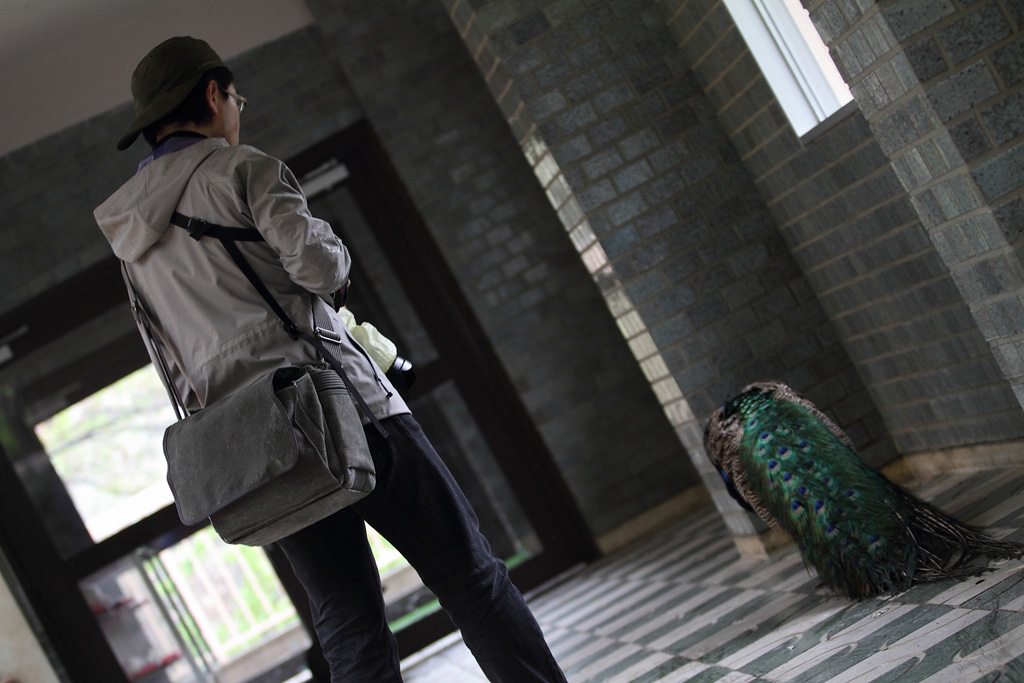 ���R���A����Ver3�@12