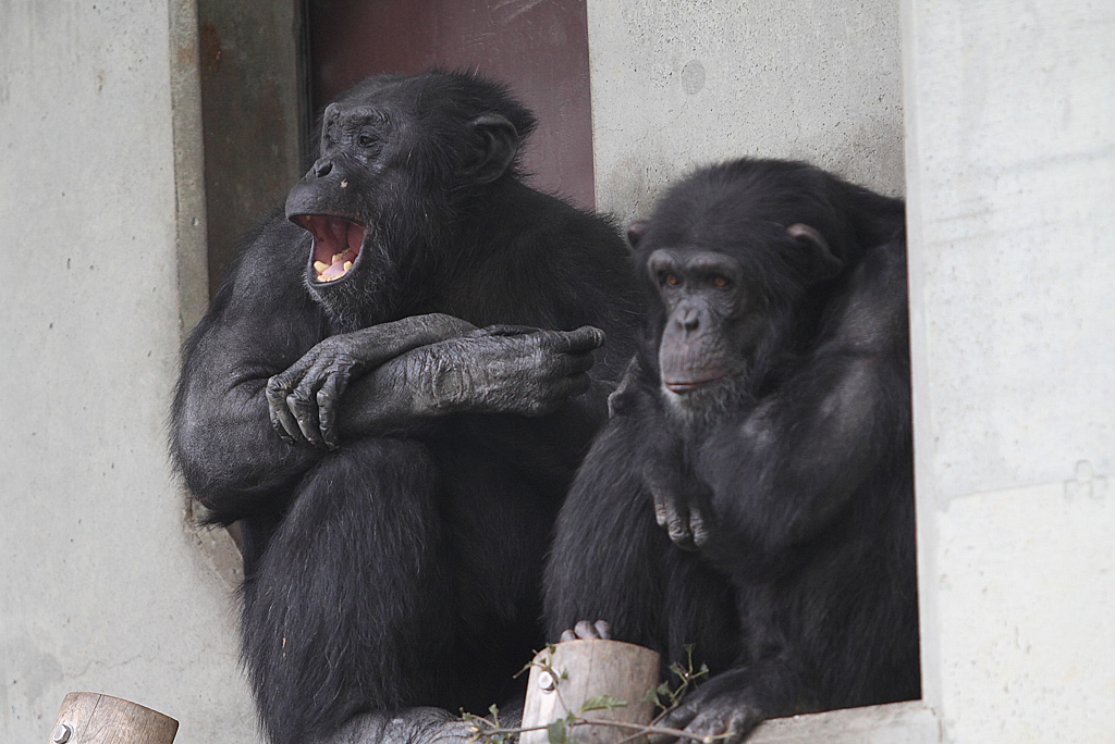 ���R���A����Ver3�@13