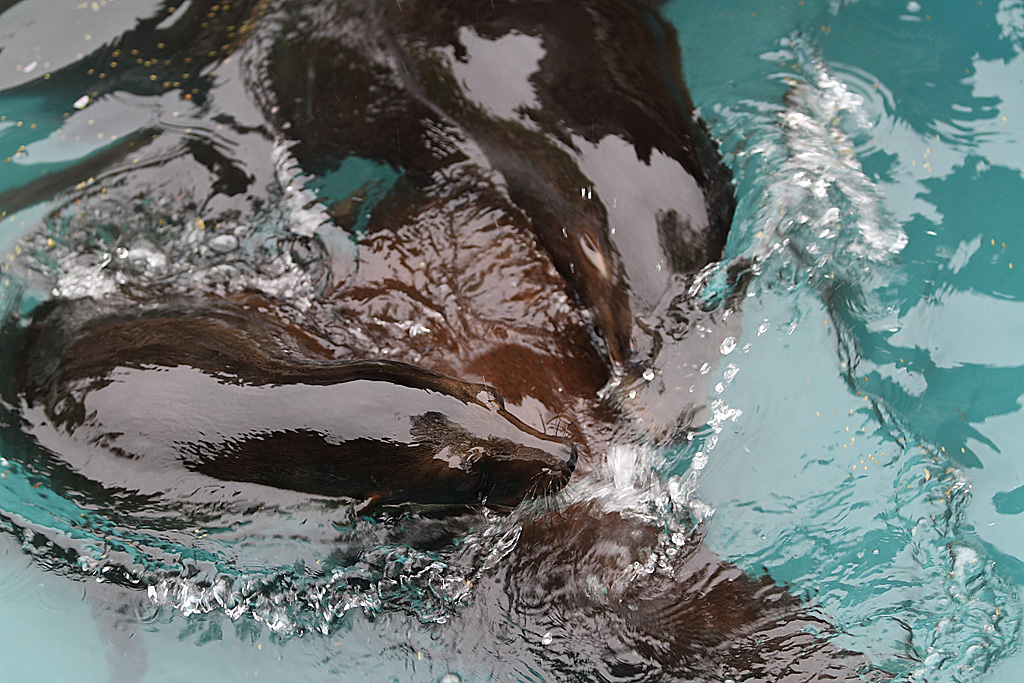 ���R���A����Ver3�@15