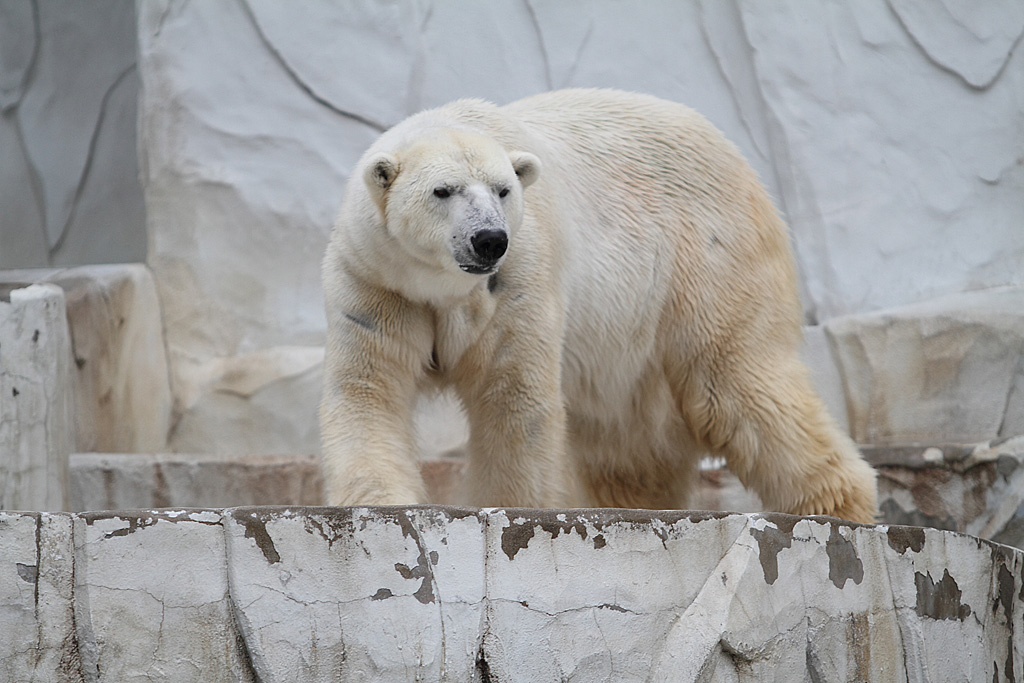 ���R���A����Ver3�@16