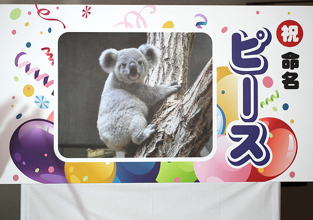 ���R���A����Ver3�@18