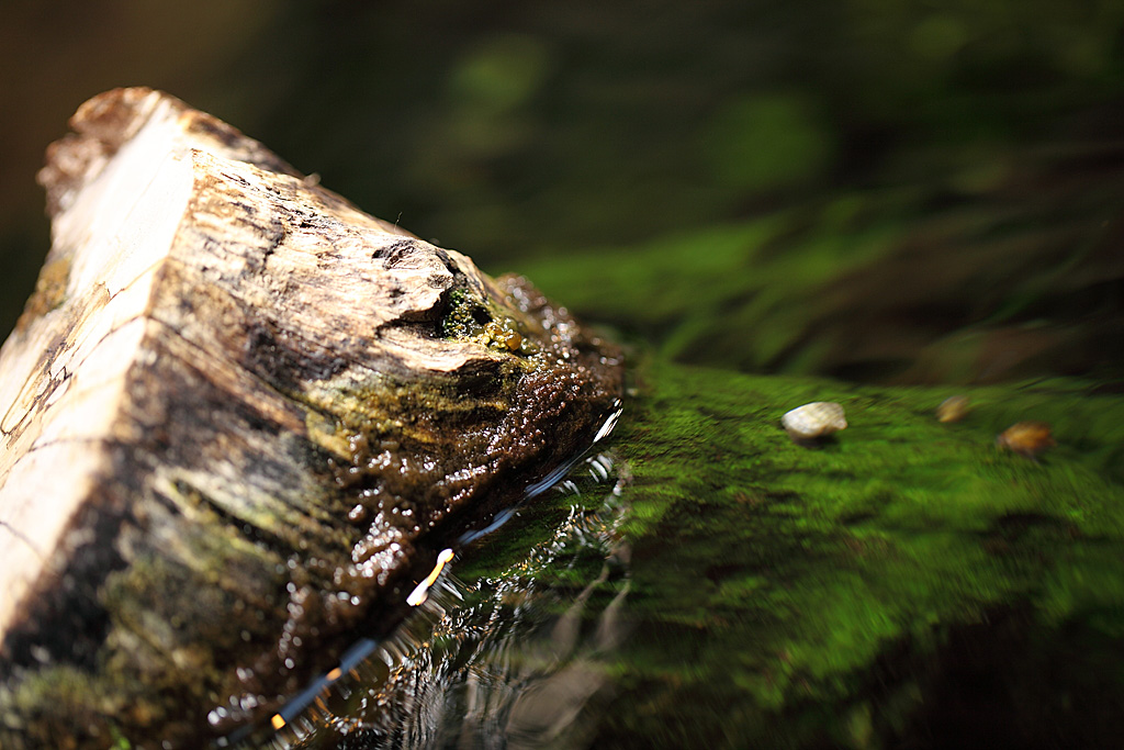 ���R���A����Ver3�@20